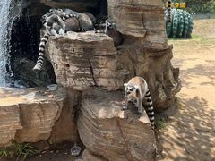 -秦皇岛野生动物园