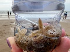 -那香海钻石沙滩浴场