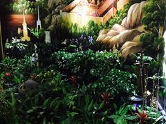 -素可汤泉(天宝大厦店)