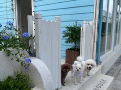 -BLUE HOUSE咖啡