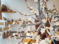 -不凡脑禅境·养生·舒压调理SPA(华发世纪城店)