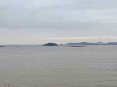 -北岐滩涂