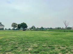 -汉长安城未央宫国家考古遗址公园