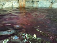 -云涛森林温泉