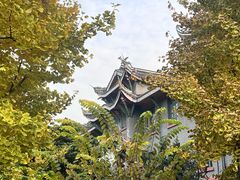 -四川大学(华西校区)