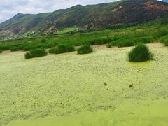 -泸沽湖国家级风景名胜区走婚桥