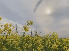 -西海岸生态观光园