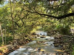 -广州市石门国家森林公园