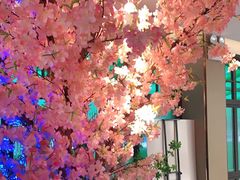 -野妹火锅(龙岗店)