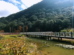 -广州市石门国家森林公园