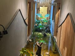 -邈墨茶馆(凤起路店)