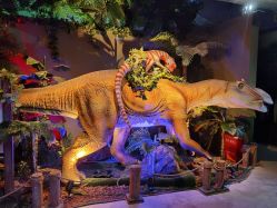 -恐龙探索乐园(磁器口店)