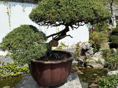 -水绘园