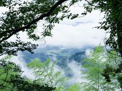 -莫干山风景区