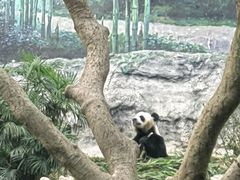 -石排湾郊野公园