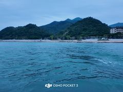 -杨梅坑