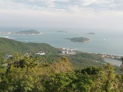 -三亚亚龙湾人间天堂鸟巢度假村