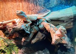 -酷嗒动物文化乐园(cutezoo西溪乐天城店)