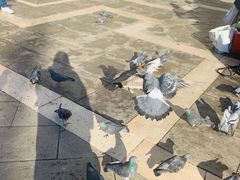 -圣马尔谷圣殿宗主教座堂