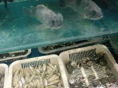 水产区-高鸽子锦州烧烤63年(海阳路店)