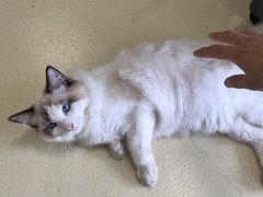 -中田健身工作室(中针商务店)