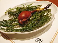 -觀芷隐轩