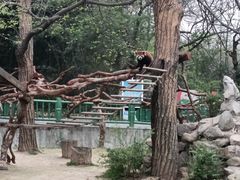 -西安秦岭野生动物园
