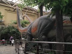 -国家自然博物馆