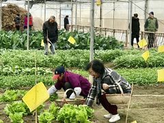 -上海多利农业发展有限公司