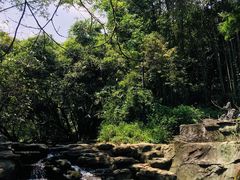 -大屏嶂森林公园