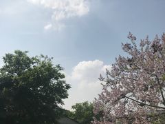 -石塘人家