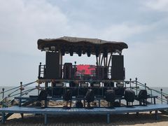 -北戴河碧螺塔海上酒吧公园