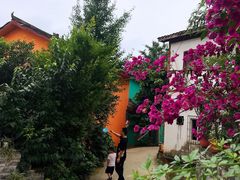 -三圣花乡旅游区