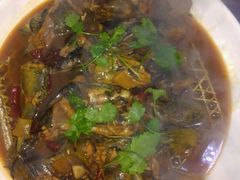 -官厅老勾渔馆(温泉店)