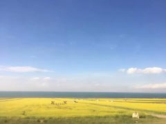 -青海湖国家重点风景名胜区