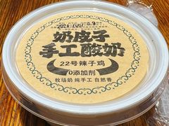 奶皮子酸奶-柴窝堡22号辣子鸡·传承新疆菜