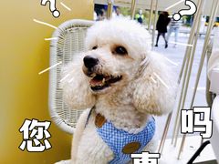 -Tims天好咖啡(江干万象城店)