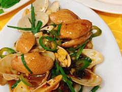 豉椒花甲王-金豪沙姜鸡饭店(昌平路店)