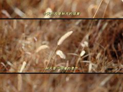 -普陀宗乘之庙(小布达拉宫)