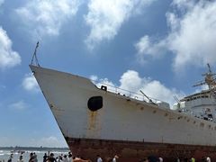 -日照海滨国家森林公园
