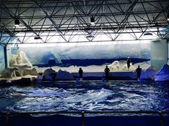 -秦皇岛乐岛海洋王国