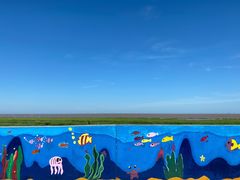 -南汇嘴观海公园