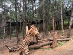-云南野生动物园