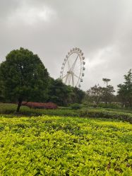 -白沙门公园游乐场