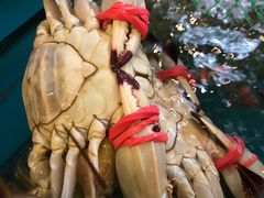 -北塘海鲜·天津菜(大光明桥旗舰店)