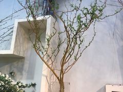 -双季花艺园艺市场(浦东店)