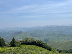 -莫干山风景区