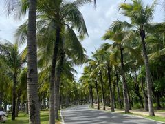 -三亚西岛海洋文化旅游区
