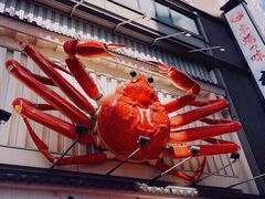 -蟹道乐(道顿堀本店)