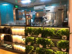 -青瓷火锅料理(西单大悦城店)